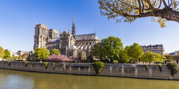 Bild-Nr: 12024941 Notre Dame auf der Ile de la Cite in Paris Erstellt von: dieterich