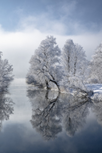 Bild-Nr: 12026038 Winter in Bayern Erstellt von: Achim Thomae