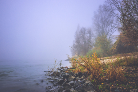 Bild-Nr: 12026640 Nebel am Rheinufer Erstellt von: Marc Braner