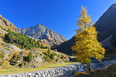 Bild-Nr: 12033658 Sonniger Herbsttag in den Bergen- Stubaier Alpen Erstellt von: Andreas Föll