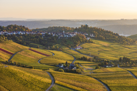Bild-Nr: 12034138 Weinberge bei Stuttgart-Rotenberg Erstellt von: dieterich