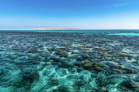 Bild-Nr: 12034418 Korallenriff Hurghada Erstellt von: Kunze Kunze