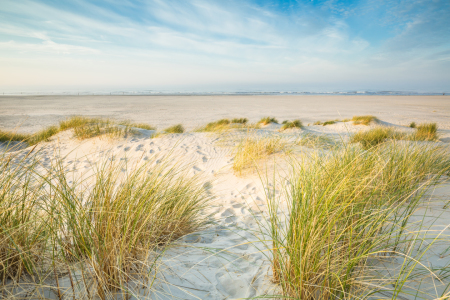 Bild-Nr: 12036844 Traumstrand an der Nordsee Erstellt von: Ursula Reins