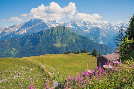 Bild-Nr: 12039102 Aussicht von der Schynigen Platte Berner Oberland Erstellt von: SusaZoom