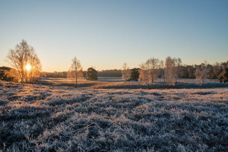 Bild-Nr: 12040466 Winterlicher Sonnenaufgang Erstellt von: volker heide