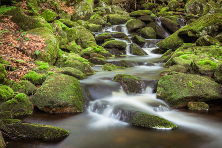 Bild-Nr: 12042923 Bach Landschaft Erstellt von: luxpediation