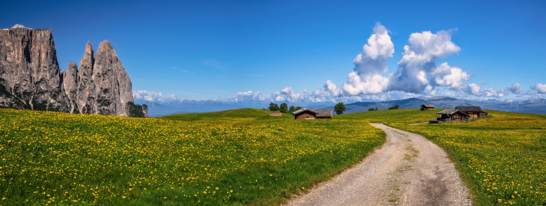 Bild-Nr: 12043458 Frühling auf der Seiser Alm Erstellt von: Achim Thomae