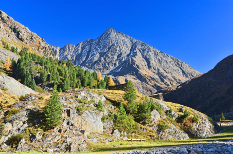 Bild-Nr: 12044490 Herbstliche Berglandschaft in Tirol Erstellt von: Andreas Föll