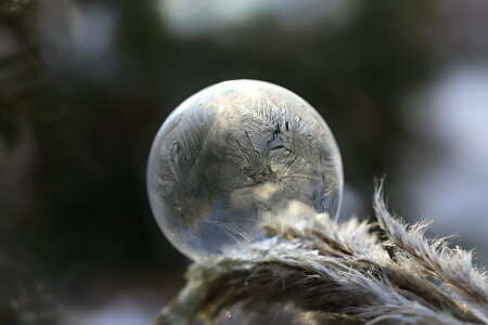 Bild-Nr: 12044706 Frostige Schönheit 6 Erstellt von: Heike  Hultsch