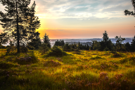 Bild-Nr: 12044896 Schwarzwaldlandschaft bei Sonnenaufgang Erstellt von: KundenNr-160338