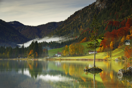 Bild-Nr: 12046463 Hintersee Baum Erstellt von: Norbert Liesz