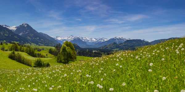 Bild-Nr: 12047122 Frühling im Oberallgäu Erstellt von: Walter G. Allgöwer