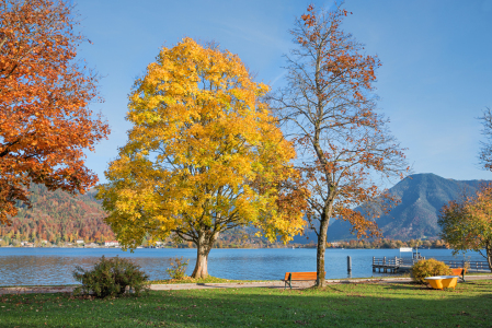 Bild-Nr: 12047811 Herbstliche Uferpromenade Tegernsee Erstellt von: SusaZoom