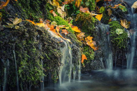 Bild-Nr: 12047990 Wasser mit Herbstlaub Erstellt von: luxpediation