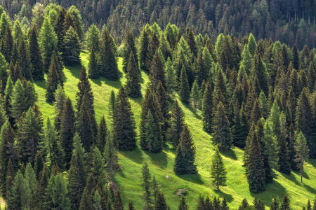 Bild-Nr: 12048015 Frühling in den Alpen Erstellt von: Achim Thomae