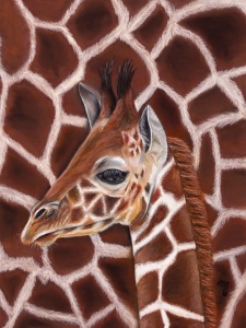 Bild-Nr: 12048153 Kreidekunst Giraffe Erstellt von: MoNoir