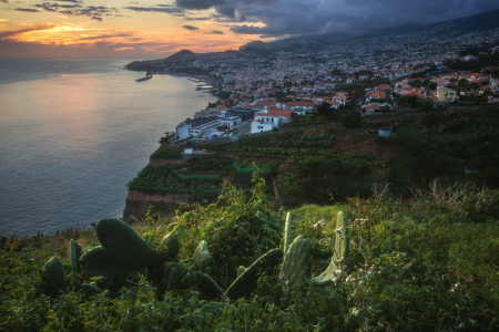 Bild-Nr: 12050446 Madeira Funchal am Abend Erstellt von: Jean Claude Castor