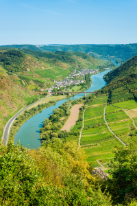 Bild-Nr: 12051544 Mosel bei Ediger-Eller 34 Erstellt von: Erhard Hess