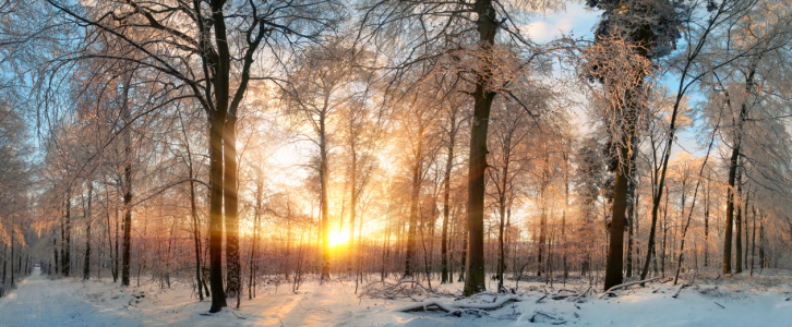 Bild-Nr: 12052904 Zauberhafter Sonnenuntergang im Winter Wald Erstellt von: Smileus