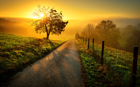 Bild-Nr: 12053361 Idyllische Landschaft bei Sonnenaufgang Erstellt von: Smileus