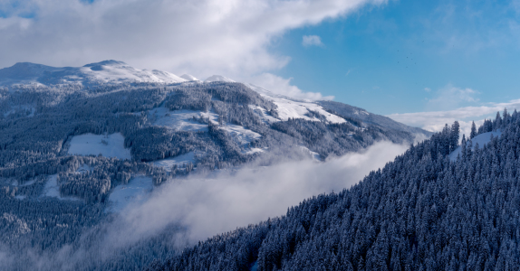 Bild-Nr: 12055783  Kitzbüheler Alpen Erstellt von: Gregor Handy