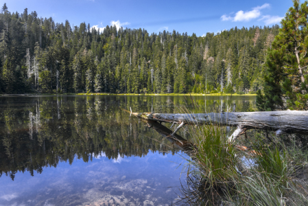 Bild-Nr: 12058429 Unberührte Natur im Schwarzwald Erstellt von: KundenNr-160338