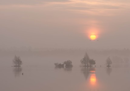 Bild-Nr: 12058536 Silent Erstellt von: Katilla