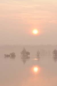 Bild-Nr: 12058746 Morgengrauen Erstellt von: Katilla