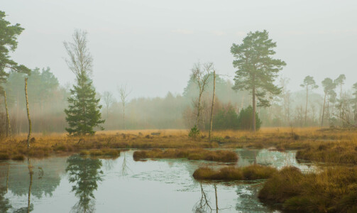 Bild-Nr: 12059449 Moorlandschaft Erstellt von: Katilla