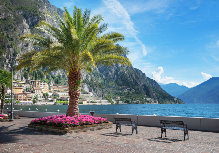 Bild-Nr: 12060520 Palme am Seeufer Limone Gardasee Italien Erstellt von: SusaZoom