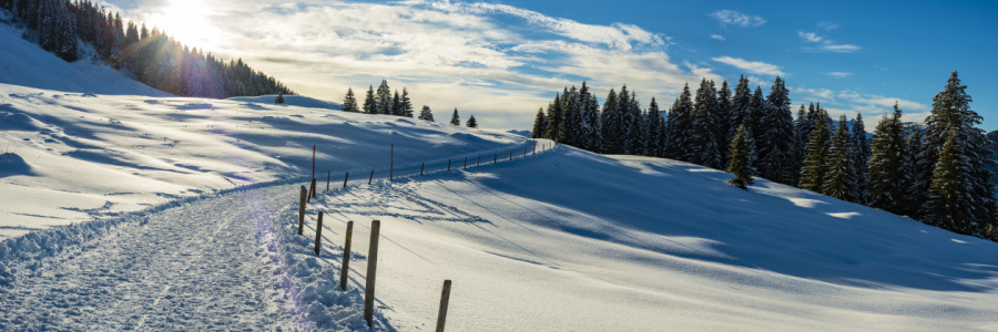 Bild-Nr: 12061608 Winterwanderweg im Kleinwalsertal Erstellt von: Walter G. Allgöwer