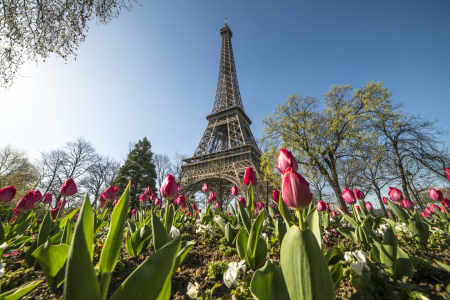 Bild-Nr: 12062052 Frühling in Paris Erstellt von: reisefoto