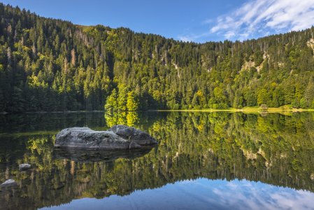 Bild-Nr: 12066216 Feldbergsee - Schwarzwald Erstellt von: KundenNr-160338