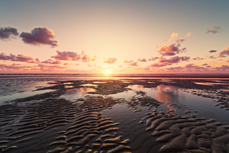 Bild-Nr: 12067535 Nordsee - Abendstimmung am Wattenmeer Erstellt von: ReichderNatur