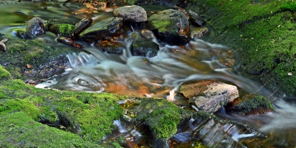 Bild-Nr: 12071676 Moos Steine Wasser Erstellt von: Bettina Schnittert