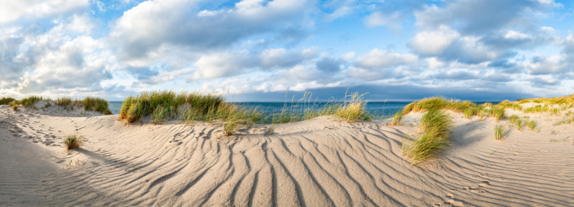 Bild-Nr: 12076388 Wanderdüne mit Strandhafer auf Sylt Erstellt von: eyetronic