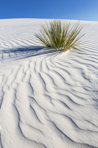 Bild-Nr: 12079755 WHITE SANDS NATIONAL MONUMENT Dünen Erstellt von: Melanie Viola