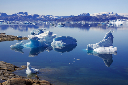 Bild-Nr: 12082412 Eisfjord in Ostgrönland Erstellt von: reinhard Pantke
