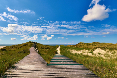 Bild-Nr: 12082913 Amrum Aussichtsdüne Erstellt von: Reiner Würz