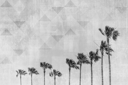 Bild-Nr: 12084173 California Vibes - Monochrom Erstellt von: Melanie Viola
