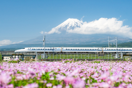 Bild-Nr: 12087759 Japanischer Schnellzug fährt am Berg Fuji vorbei Erstellt von: eyetronic