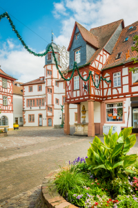 Bild-Nr: 12088434 Fischmarkt Alzey 38 Erstellt von: Erhard Hess