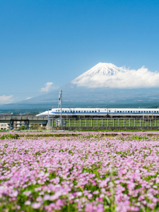 Bild-Nr: 12088448 Berg Fuji mit Shinkansen Erstellt von: eyetronic