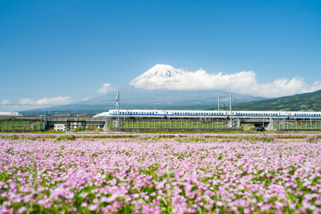 Bild-Nr: 12088874 Japanischer Shinkansen Zug vor dem Berg Fuji Erstellt von: eyetronic