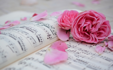 Bild-Nr: 12089905 Mozart mit Rosen Erstellt von: Bettina Schnittert