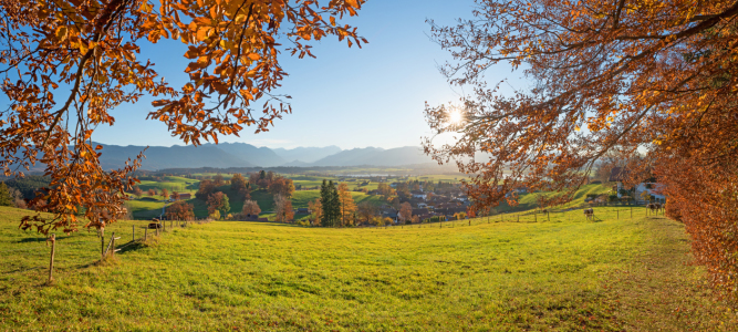 Bild-Nr: 12093100 Herbstlicher Waldrand Aidlinger Höhe Erstellt von: SusaZoom