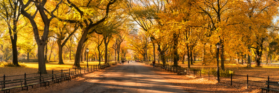 Bild-Nr: 12099809 Central Park in New York City Erstellt von: eyetronic