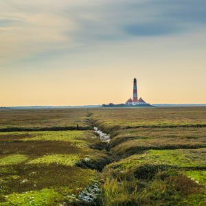 Bild-Nr: 12106257 Westerhever  Leuchtturm  Erstellt von: Ursula Reins