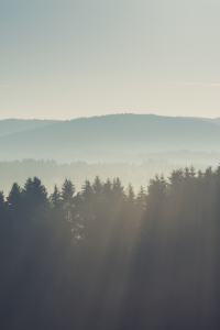 Bild-Nr: 12106330 Bayerischer Wald  Erstellt von: luxpediation