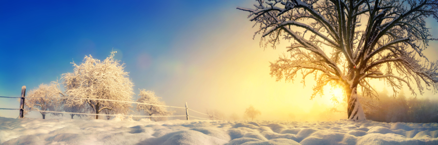 Bild-Nr: 12106988 Panorama von stimmungsvoller Winterlandschaft Erstellt von: Smileus
